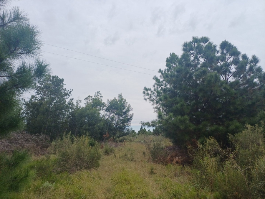 Commercial Property for Sale in Hoekwil Western Cape